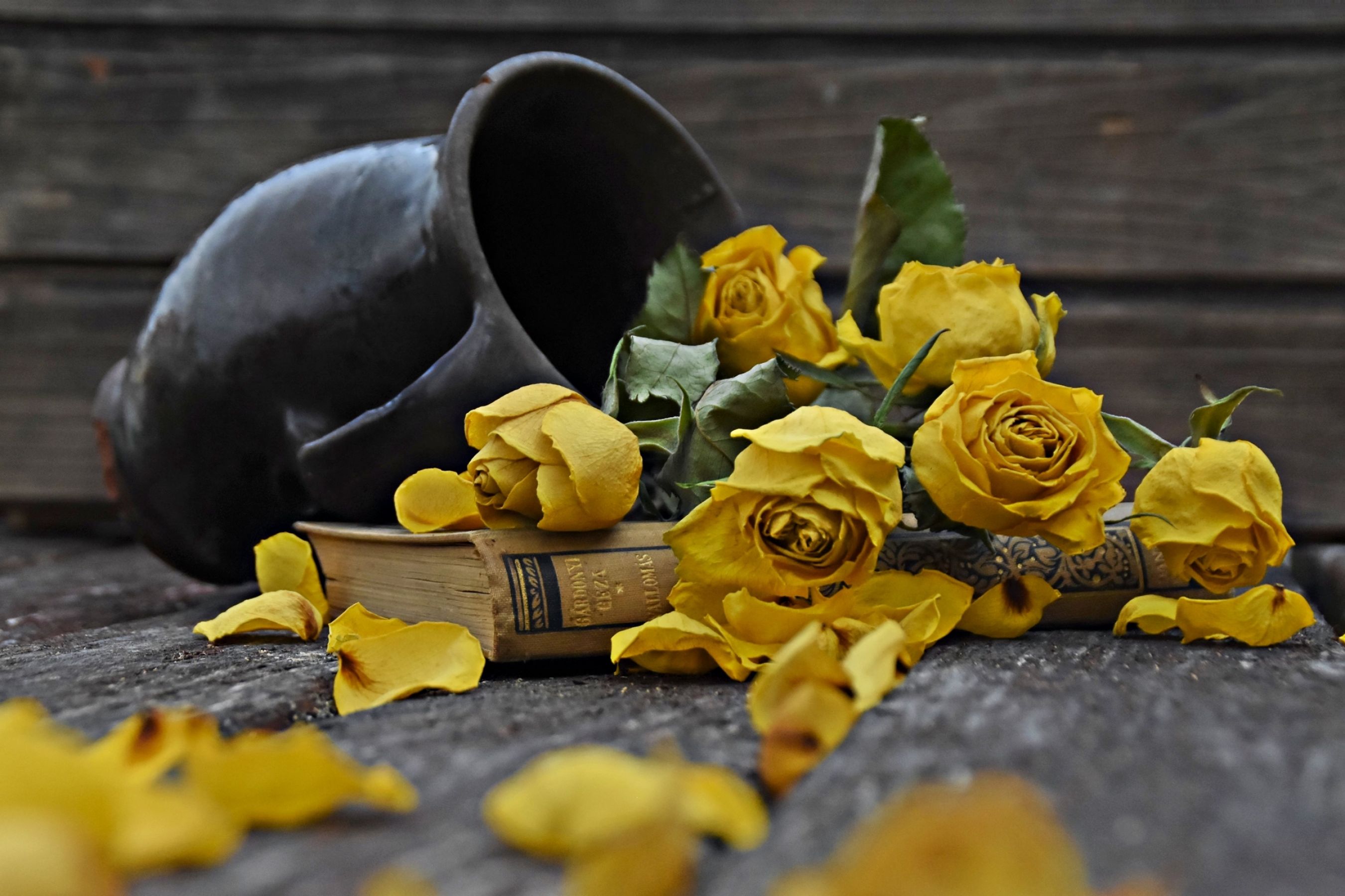 Sárga rózsás – kópia